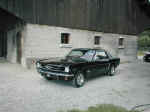 65 Mustang.jpg (97690 Byte)